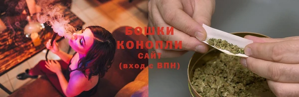 шишки Болохово