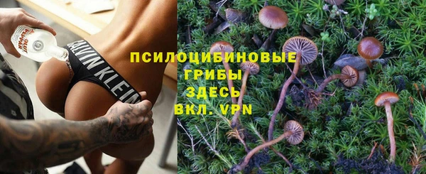крисы Покров