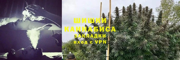 альфа пвп Гусь-Хрустальный