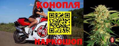 тгк Беслан