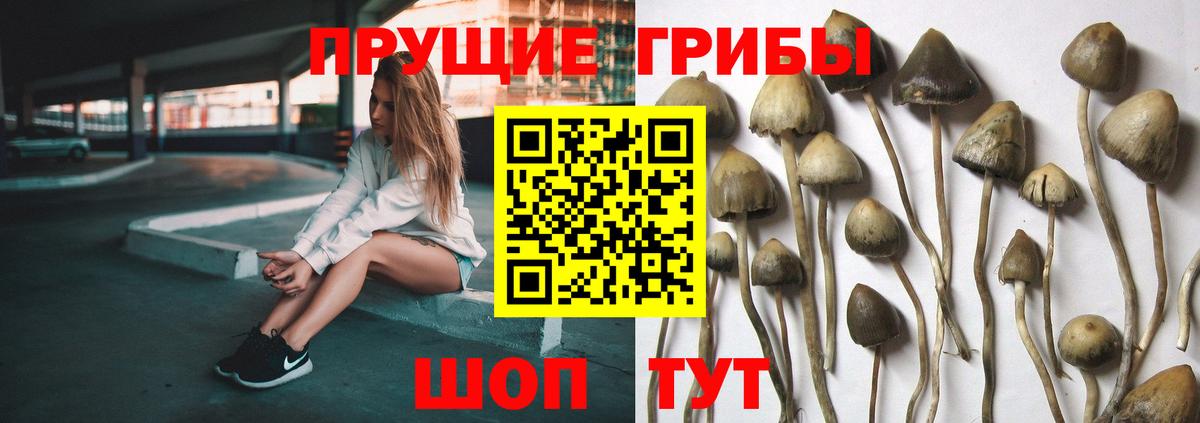 Галлюциногенные грибы MAGIC MUSHROOMS Алапаевск
